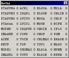 Окно просмотра битов
